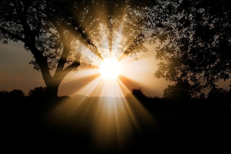 Spellbound Sceneries
