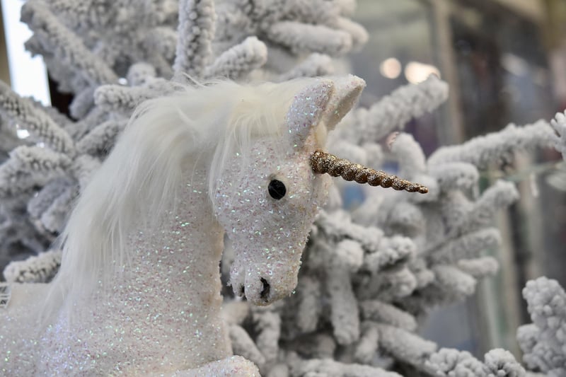 Unicorn Allies